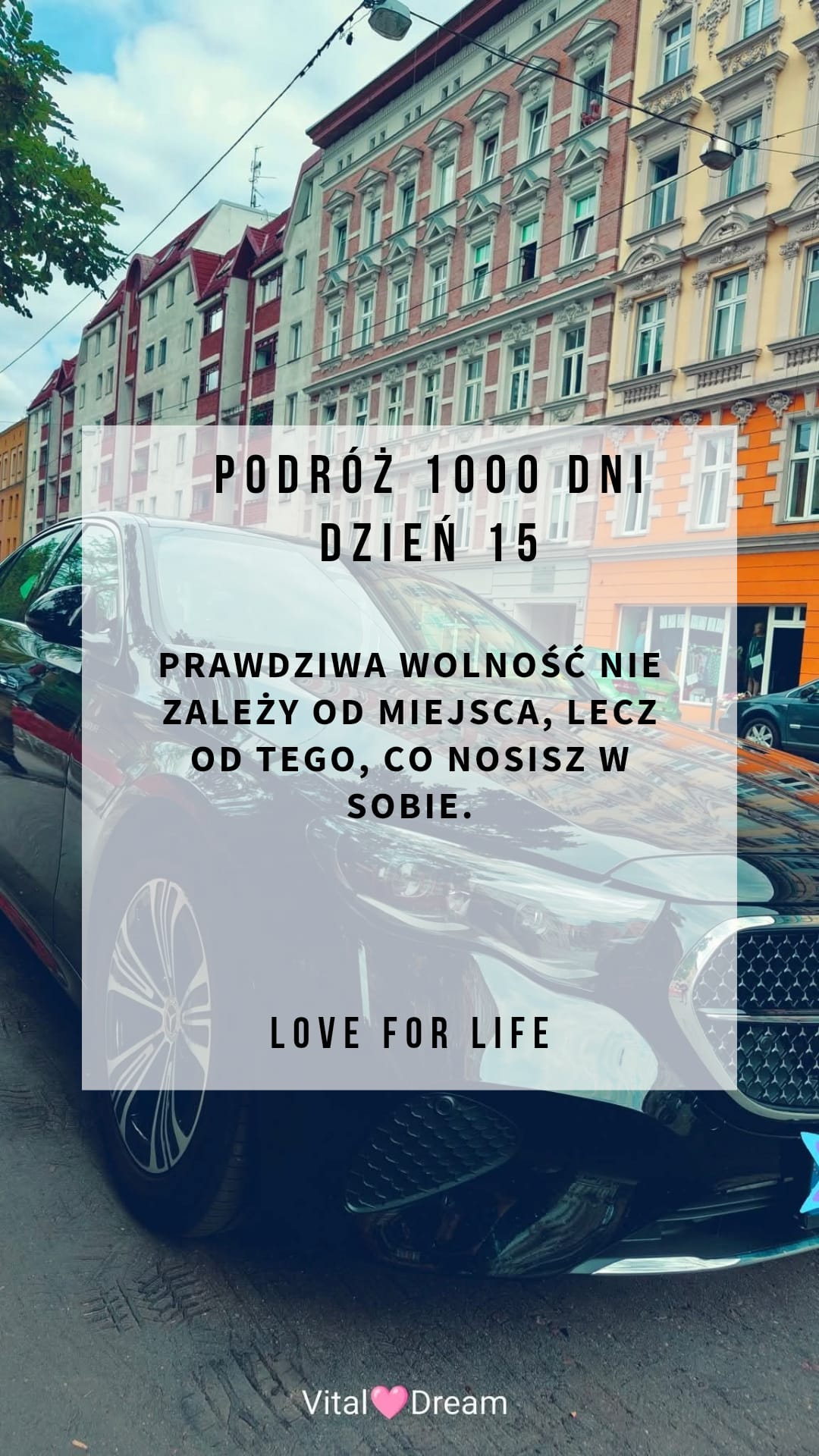 DZIEŃ 15